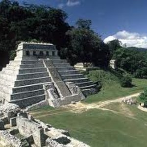 images-1maya.jpg