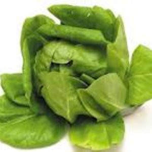 imagesca03saf5.jpg