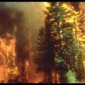 incendie_californie_bureauoflandmanagement_wc.jpg