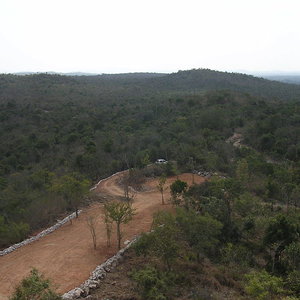 india_forest_ganesha1_wc.jpg