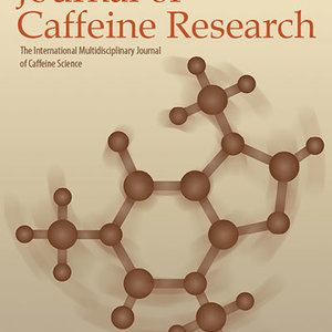 jcr.2012.2.issue-4.cover_.jpg