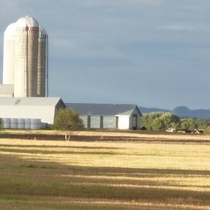 kamouraska_013_2_crop.jpg