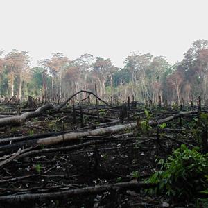 lacanja_burn-mexique.jpg