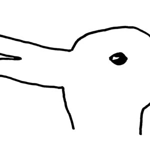 lapin.png