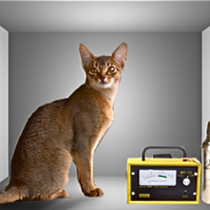 le-chat-de-Schrodinger.png
