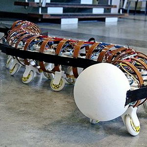 leeds-university-robotic-worm.jpg