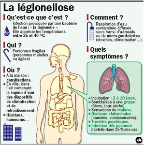 legionellose.jpg
