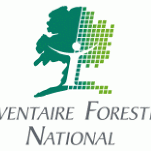 logo-ifn.gif