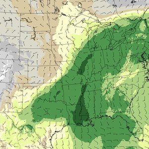 louisiane-13aout-pluie.jpg