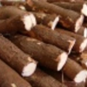mandioca_natural_sm.jpg