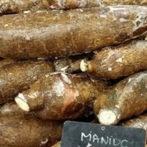 manioc.jpg