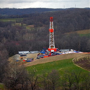 marcellus-42.jpg