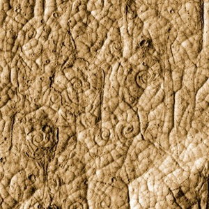 mars-lava-coils.jpeg-460x307.jpg