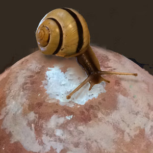 mars_bloge.jpg