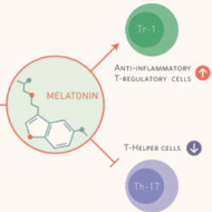 melatonine.jpg