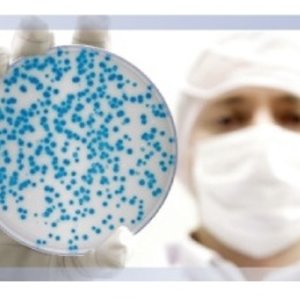 microbiology_banner.jpg