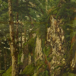 nature.jpg