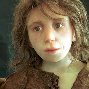 neandertal.jpg