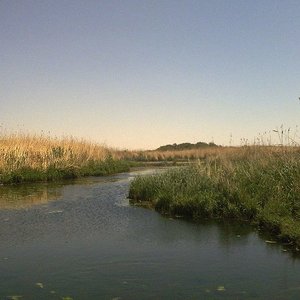 oasis-azraq-jordanie.jpg