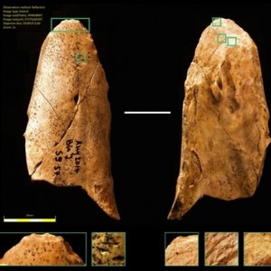 outil-neandertal_0.jpg