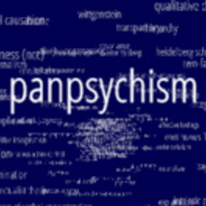 panpsychism.jpg