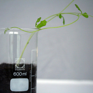 photo_blogue_la_science_contre-attaque.jpg