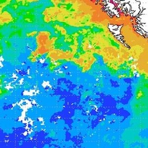 plancton-pacifique-geoingenierie.jpg