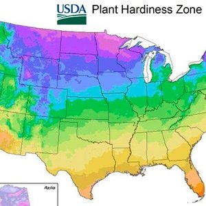 plant-hardiness.jpg