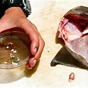 plastique-atlantique.jpg