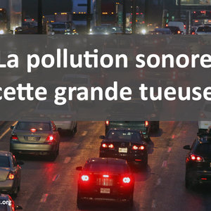 pollutionsonoregrancetueuse1200x.jpg