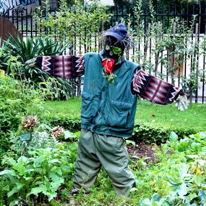 potager.jpg