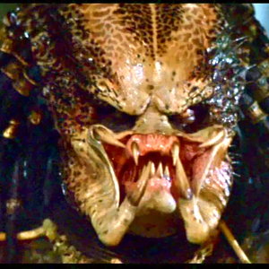 predator_91.jpg
