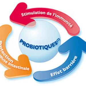 probiotiques-action.jpg