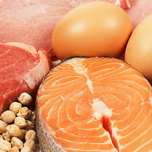 protein-fish-meat-eggs.jpg