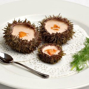 recette_oursinvert_frederickderoy.jpg
