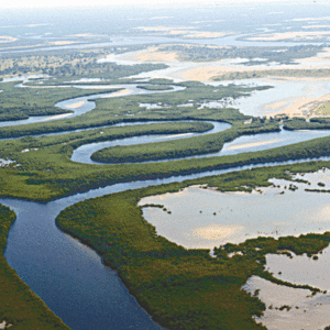 saloum.gif