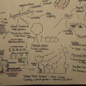 schema_agroforesterie_wc.jpg