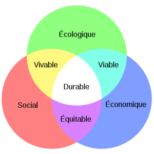 schema_developpement_durable.png
