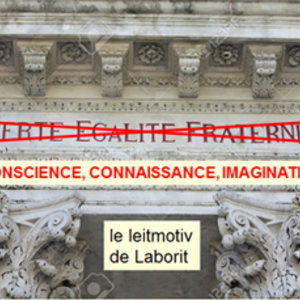 seance_5_image_pour_site_web.jpg