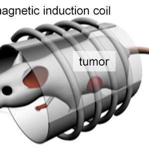 sn-hyperthermia-thumb-800xauto-10362.jpg
