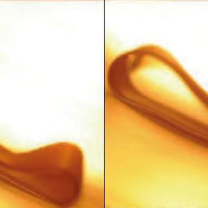 sn-rubberbands-thumb-800xauto-3931.jpg
