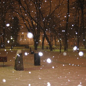 snow_lumijaguaari_wc.jpg