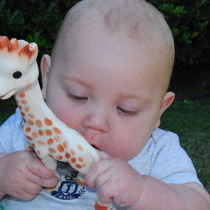 sophie_la_girafe.jpg