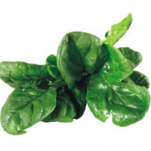 spinach.jpg