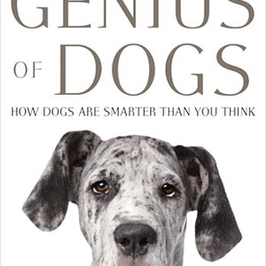 the-genius-of-dogs.jpeg