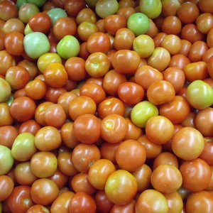 tomatoe_1.jpg