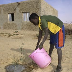 tree_planting.jpg