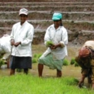 ufondet-african-farmers-190.jpg