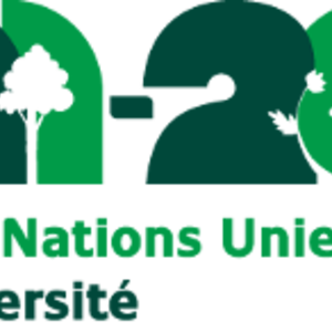undb_logo-f.png