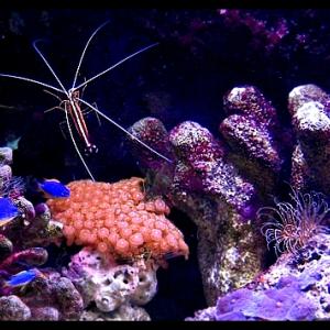 underwater.jpg